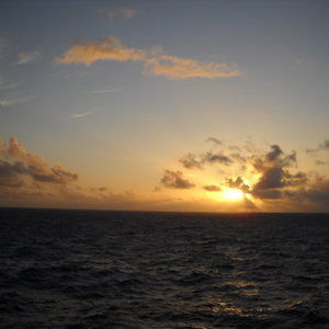 Meet your Posher, Phyllis